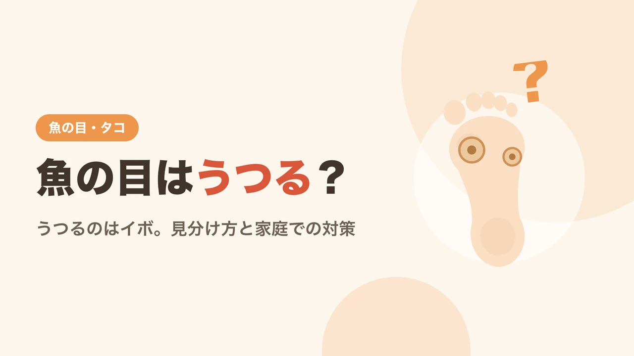 魚の目はうつるのかを解説するイメージ