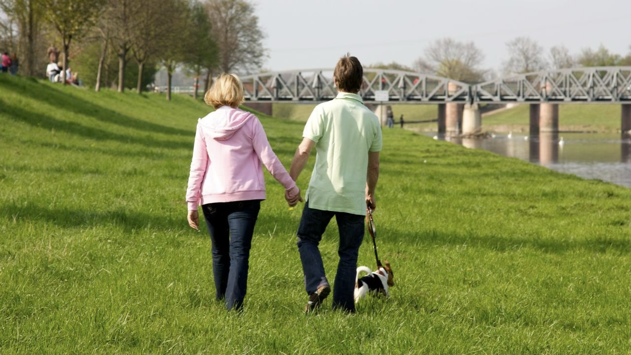 有酸素運動・ウォーキング