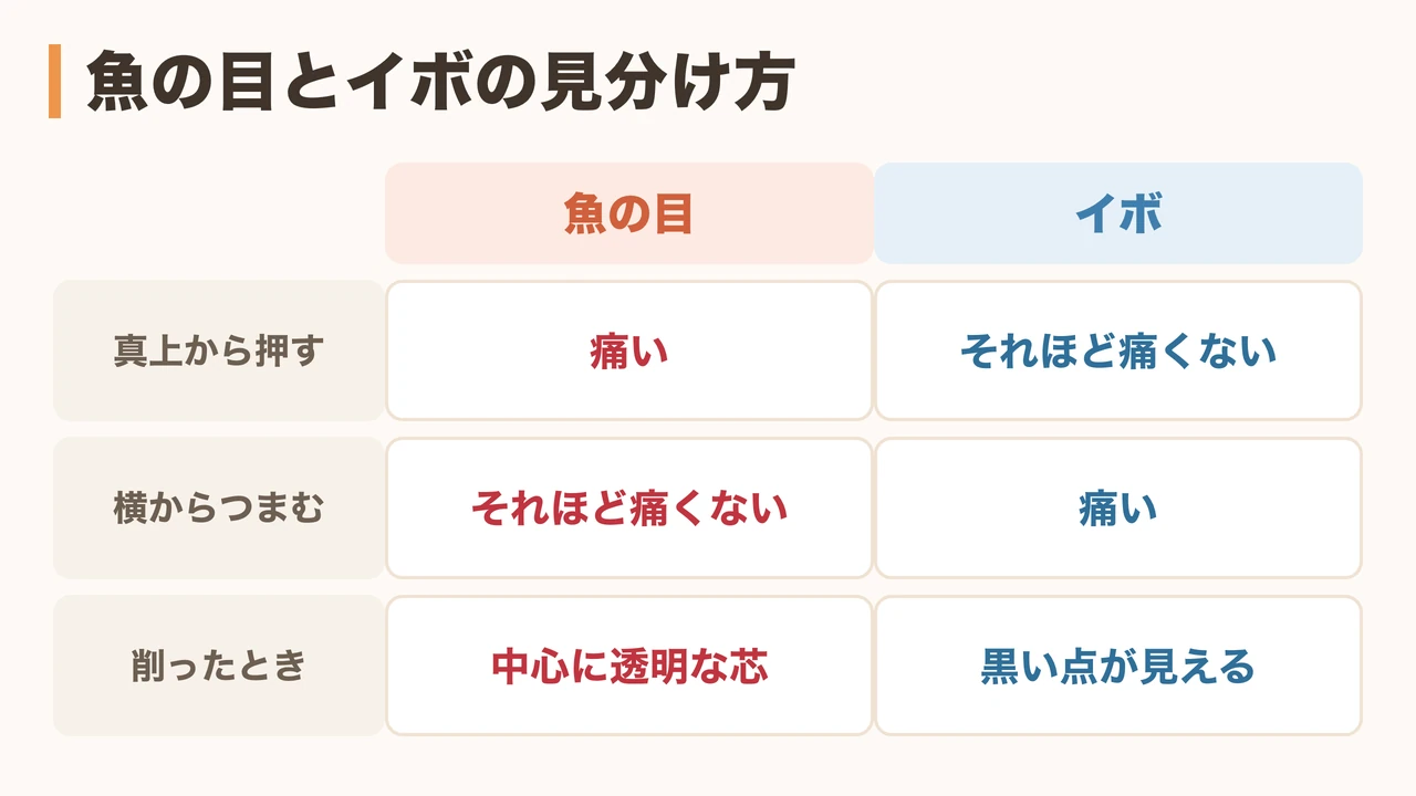 魚の目とイボの見分け方の比較